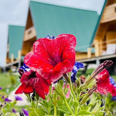 Ethno Village Molitva 度假居
